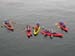 The NEMO Armada caused a bit of a kayak traffic jam, and provided some chuckles for curious sea otters.